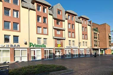 Primula Тройсдорф